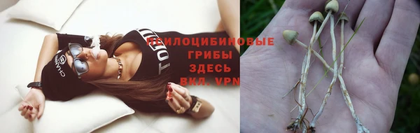 mdpv Володарск