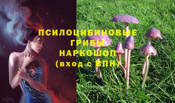 ALPHA PVP Волоколамск