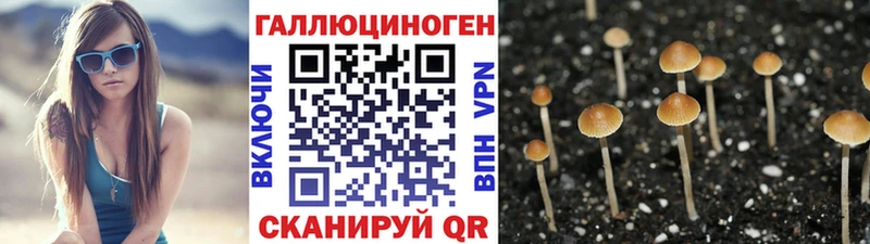 KRAKEN ССЫЛКА  Нефтекамск  Псилоцибиновые грибы Magic Shrooms 